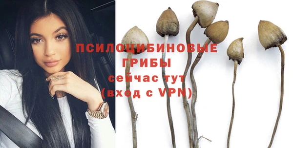 трава Верея