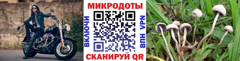 МЕГА зеркало  Уссурийск  Галлюциногенные грибы GOLDEN TEACHER 